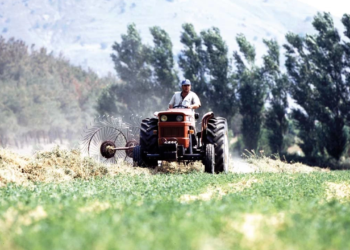 Bayram Sonrası Mazot ve Gübre Desteği!