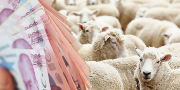 2026 Kurbanlık Fiyatları: Dev Zam Geliyor!